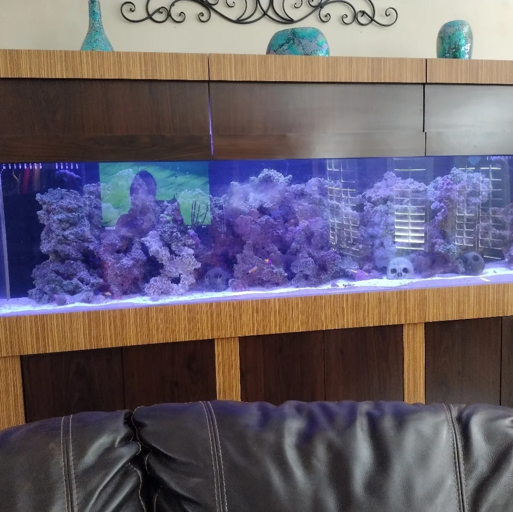 Fishtank/Aquarium